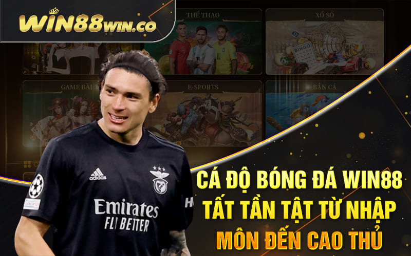 Cá Độ Bóng Đá Win88 - Tất Tần Tật Từ Nhập Môn Đến Cao Thủ